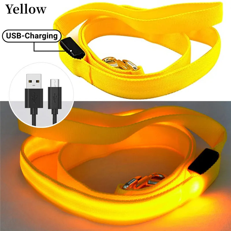 Led Pet Dog Leash Rope with Light Luminous Lead Leash USB Charging for Dog Safety Flashing Glowing Collar Harness Accessories