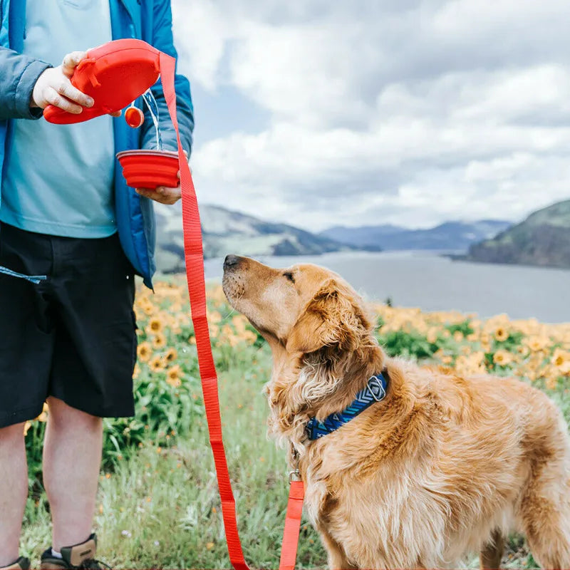 Multifunction Small Pet Dog Leash Rope for Big Dog Collar with Built-In Water Bottle Bowl Waste Bag Dispenser Dog Accessories