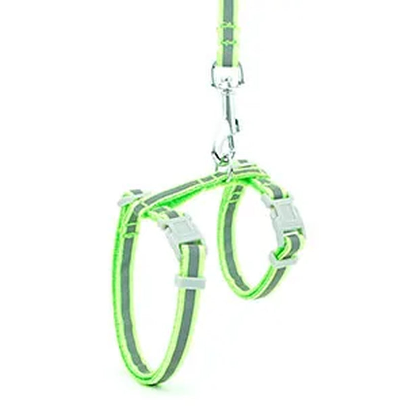 Reflective Nylon Cat Pet Collar Harness Leash Adjustable Bright Kitten Puppy Halter Collar Dog Pet Harness Belt